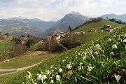 Da ALINO al MONTE MOLINASCO il 27 marzo 2018